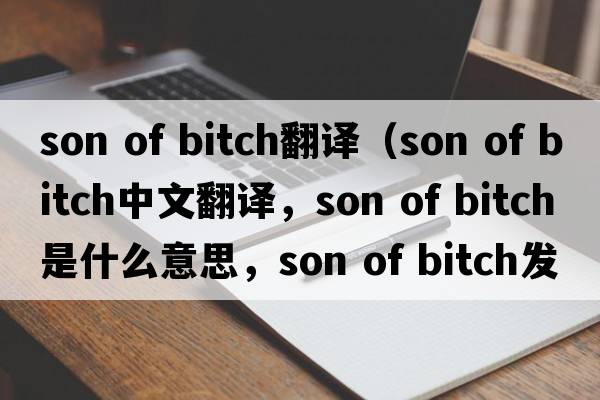 son of bitch翻譯（son of bitch中文翻譯，son of bitch是什么意思，son of bitch發(fā)音、用法及例句）