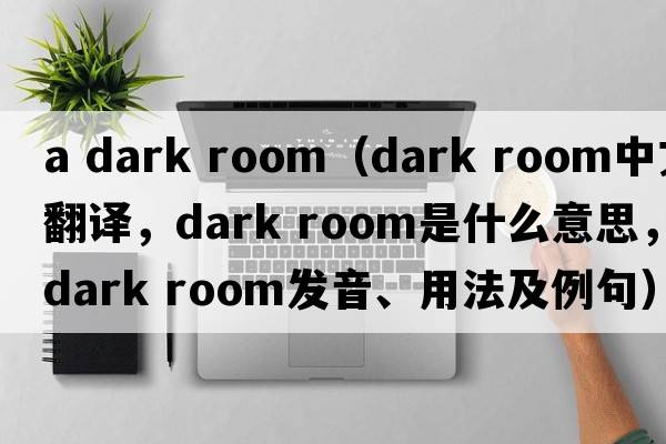 a dark room（dark room中文翻譯，dark room是什么意思，dark room發(fā)音、用法及例句）