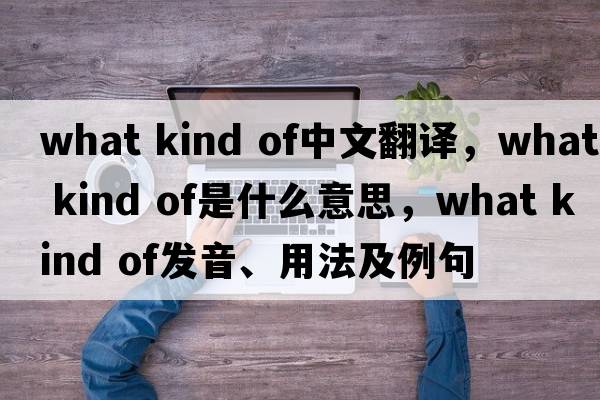 what kind of中文翻譯，what kind of是什么意思，what kind of發(fā)音、用法及例句