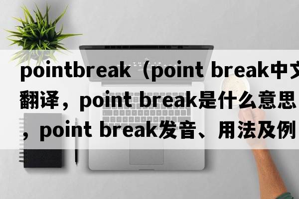 pointbreak（point break中文翻譯，point break是什么意思，point break發(fā)音、用法及例句）