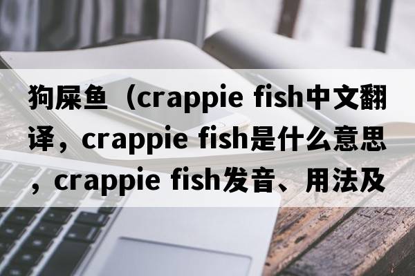 狗屎魚(yú)（crappie fish中文翻譯，crappie fish是什么意思，crappie fish發(fā)音、用法及例句）