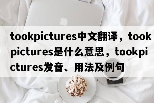 tookpictures中文翻譯，tookpictures是什么意思，tookpictures發(fā)音、用法及例句