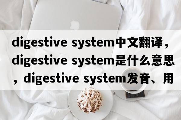 digestive system中文翻譯，digestive system是什么意思，digestive system發(fā)音、用法及例句