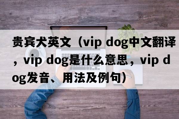 貴賓犬英文（vip dog中文翻譯，vip dog是什么意思，vip dog發(fā)音、用法及例句）