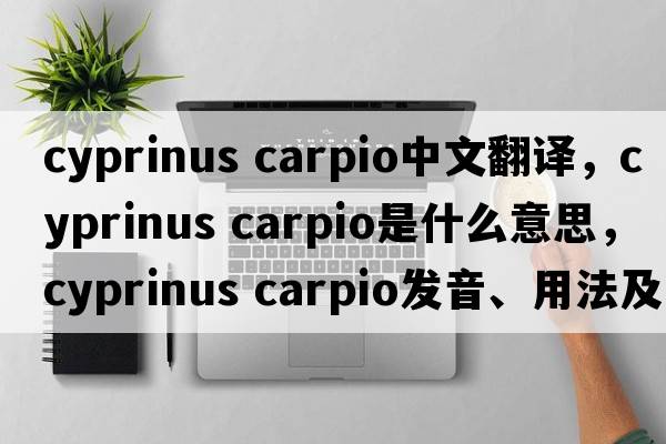 cyprinus carpio中文翻譯，cyprinus carpio是什么意思，cyprinus carpio發(fā)音、用法及例句