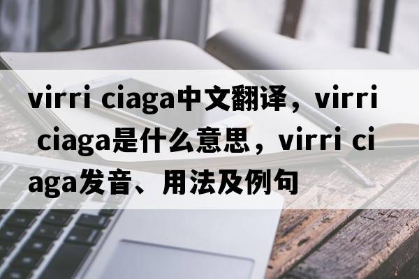 virri ciaga中文翻譯，virri ciaga是什么意思，virri ciaga發(fā)音、用法及例句