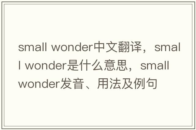 small wonder中文翻譯，small wonder是什么意思，small wonder發(fā)音、用法及例句