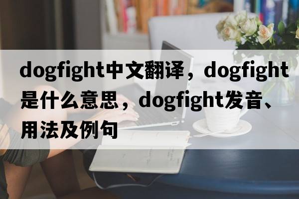 dogfight中文翻譯，dogfight是什么意思，dogfight發(fā)音、用法及例句