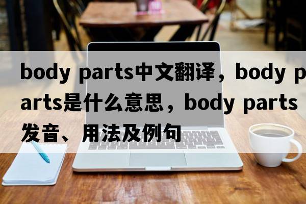 body parts中文翻譯，body parts是什么意思，body parts發(fā)音、用法及例句