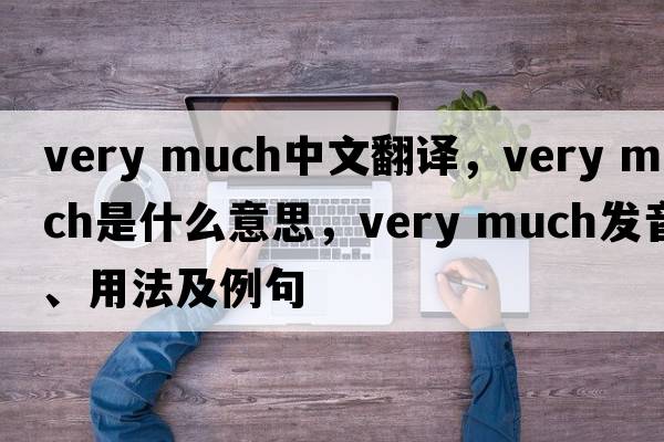 very much中文翻譯，very much是什么意思，very much發(fā)音、用法及例句