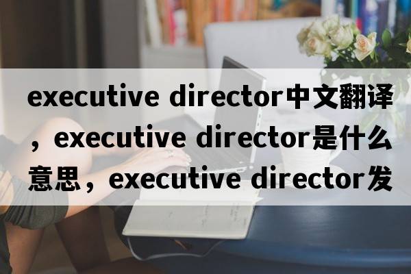 executive director中文翻譯，executive director是什么意思，executive director發(fā)音、用法及例句