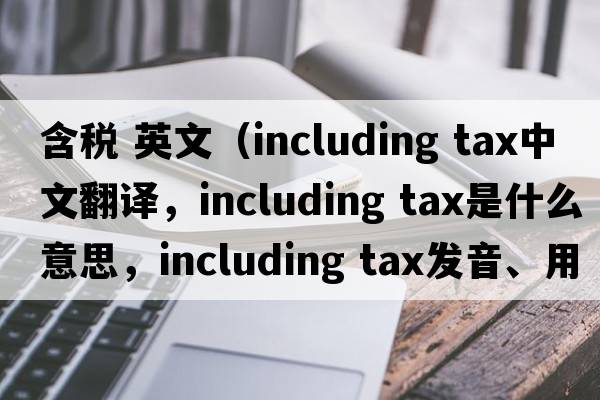 含稅 英文（including tax中文翻譯，including tax是什么意思，including tax發(fā)音、用法及例句）