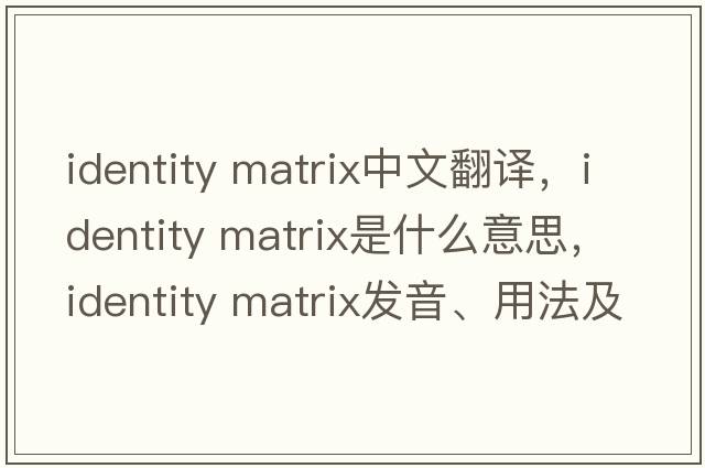 identity matrix中文翻譯，identity matrix是什么意思，identity matrix發(fā)音、用法及例句