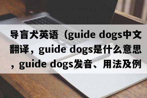 導盲犬英語(yǔ)（guide dogs中文翻譯，guide dogs是什么意思，guide dogs發(fā)音、用法及例句）