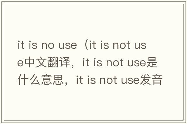 it is no use（it is not use中文翻譯，it is not use是什么意思，it is not use發(fā)音、用法及例句）