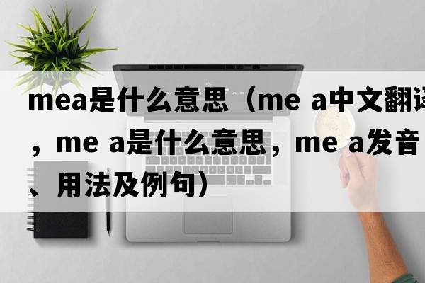 mea是什么意思（me a中文翻譯，me a是什么意思，me a發(fā)音、用法及例句）