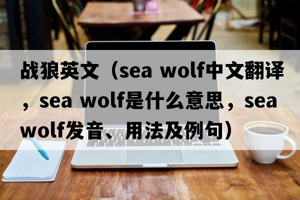 戰狼英文（sea wolf中文翻譯，sea wolf是什么意思，sea wolf發(fā)音、用法及例句）