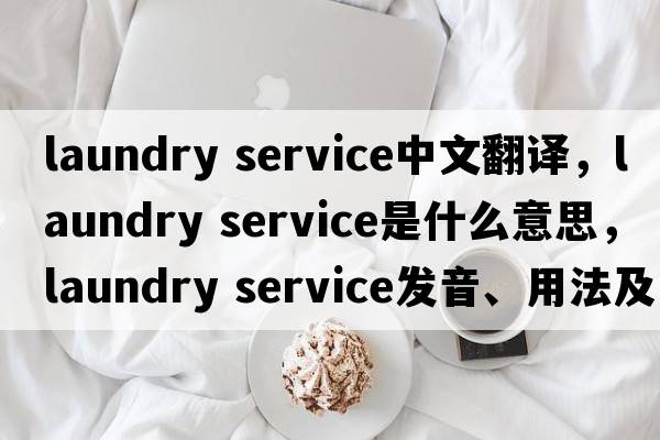 laundry service中文翻譯，laundry service是什么意思，laundry service發(fā)音、用法及例句
