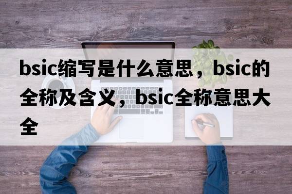 bsic縮寫(xiě)是什么意思，bsic的全稱(chēng)及含義，bsic全稱(chēng)意思大全