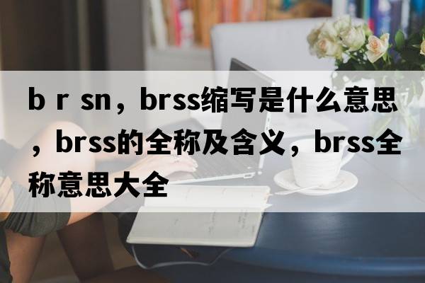b r sn，brss縮寫(xiě)是什么意思，brss的全稱(chēng)及含義，brss全稱(chēng)意思大全