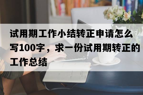 試用期工作小結轉正申請怎么寫(xiě)100字，求一份試用期轉正的工作總結