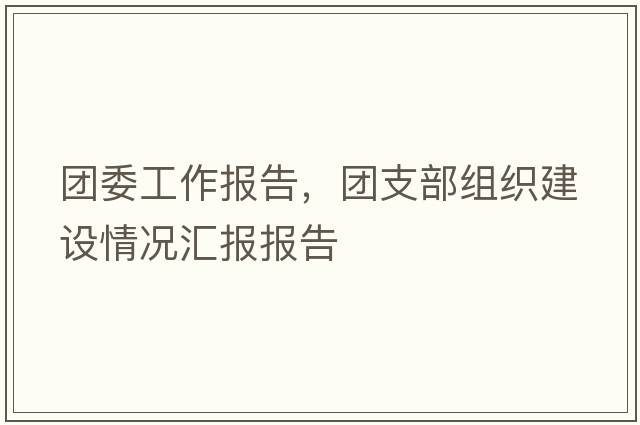 團委工作報告，團支部組織建設情況匯報報告