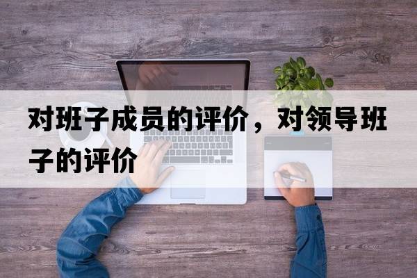 對班子成員的評價(jià)，對領(lǐng)導班子的評價(jià)