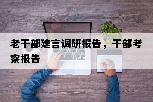老干部建言調研報告，干部考察報告