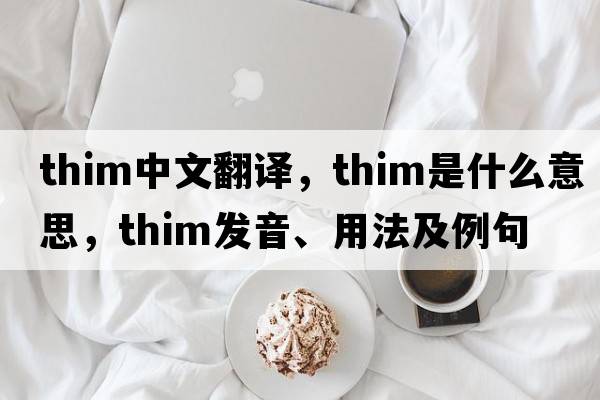 THIM中文翻譯，THIM是什么意思，THIM發(fā)音、用法及例句