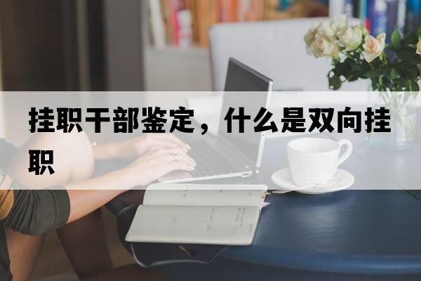 掛職干部鑒定，什么是雙向掛職