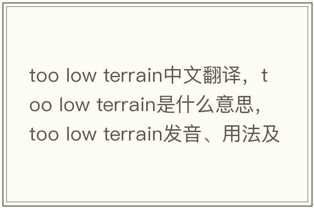 too low terrain中文翻譯，too low terrain是什么意思，too low terrain發(fā)音、用法及例句