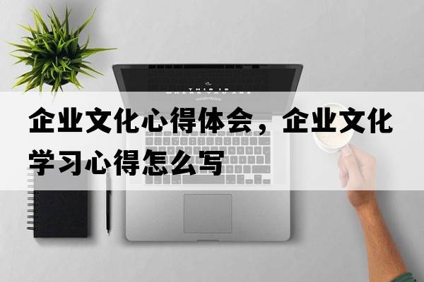 企業(yè)文化心得體會(huì )，企業(yè)文化學(xué)習心得怎么寫(xiě)