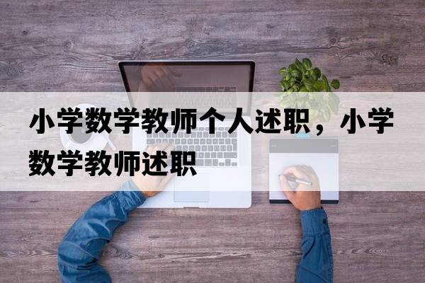 小學(xué)數學(xué)教師個(gè)人述職，小學(xué)數學(xué)教師述職