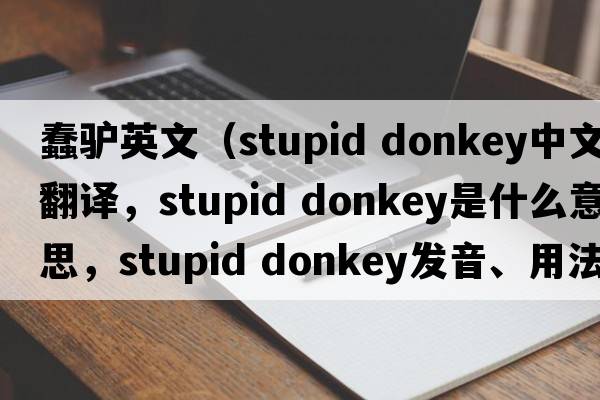 蠢驢英文（stupid donkey中文翻譯，stupid donkey是什么意思，stupid donkey發(fā)音、用法及例句）