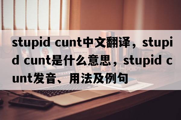 stupid cunt中文翻譯，stupid cunt是什么意思，stupid cunt發(fā)音、用法及例句