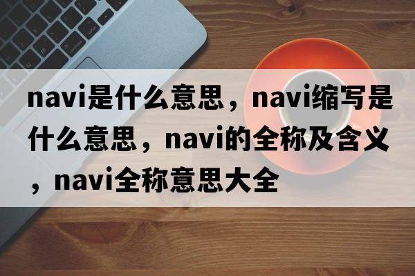 navi是什么意思，navi縮寫(xiě)是什么意思，navi的全稱(chēng)及含義，navi全稱(chēng)意思大全
