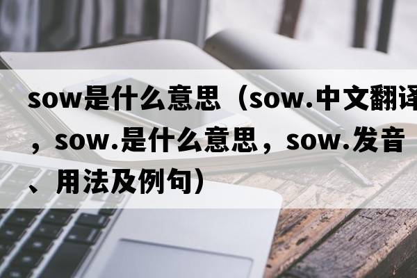 sow是什么意思（sow.中文翻譯，sow.是什么意思，sow.發(fā)音、用法及例句）
