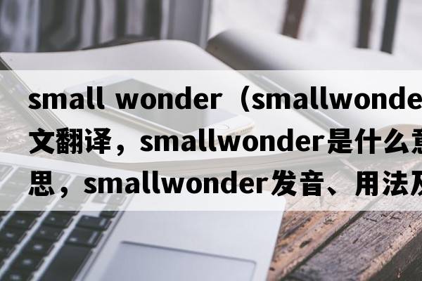 small wonder（smallwonder中文翻譯，smallwonder是什么意思，smallwonder發(fā)音、用法及例句）