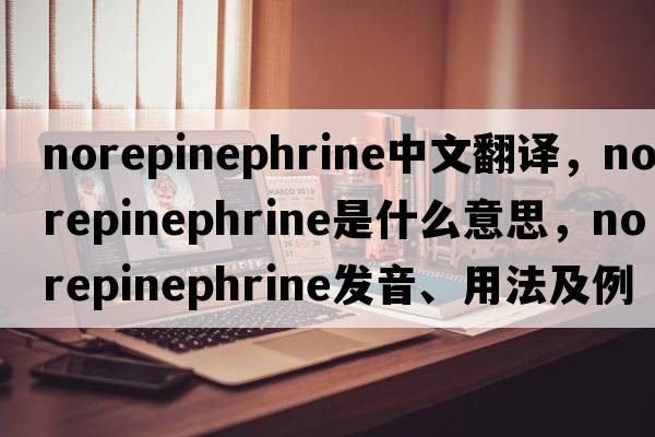 norepinephrine中文翻譯，norepinephrine是什么意思，norepinephrine發(fā)音、用法及例句