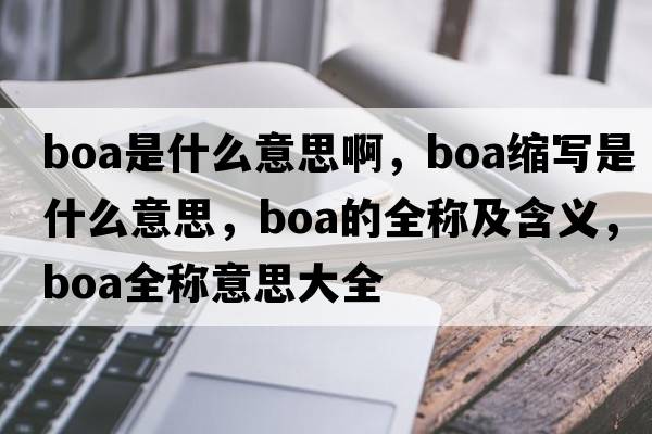 boa是什么意思啊，boa縮寫(xiě)是什么意思，boa的全稱(chēng)及含義，boa全稱(chēng)意思大全