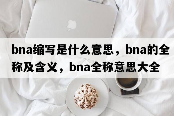 bna縮寫(xiě)是什么意思，bna的全稱(chēng)及含義，bna全稱(chēng)意思大全