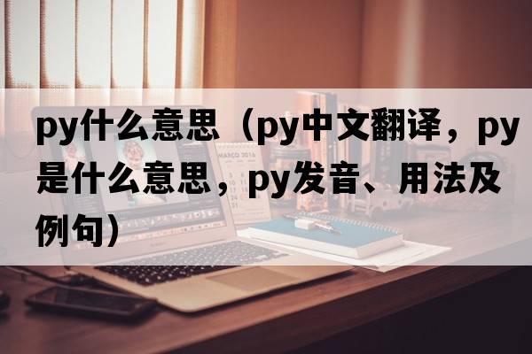 py什么意思（py中文翻譯，py是什么意思，py發(fā)音、用法及例句）