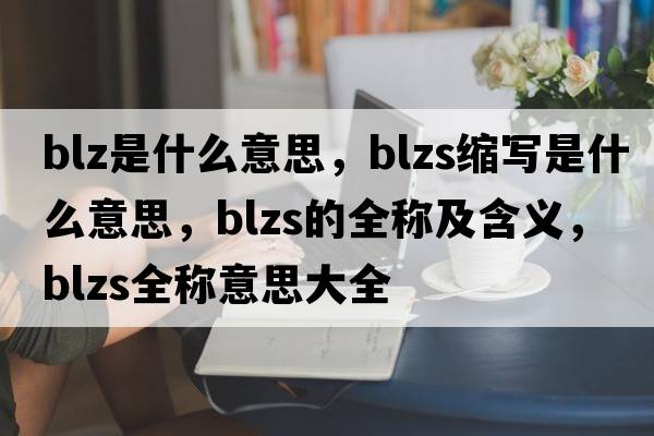 blz是什么意思，blzs縮寫(xiě)是什么意思，blzs的全稱(chēng)及含義，blzs全稱(chēng)意思大全