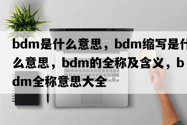 bdm是什么意思，bdm縮寫(xiě)是什么意思，bdm的全稱(chēng)及含義，bdm全稱(chēng)意思大全
