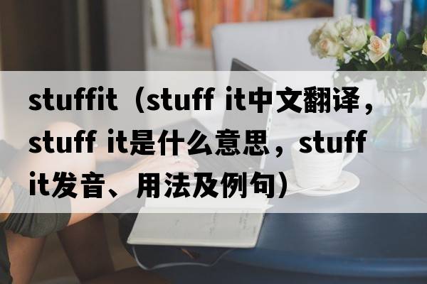 stuffit（stuff it中文翻譯，stuff it是什么意思，stuff it發(fā)音、用法及例句）