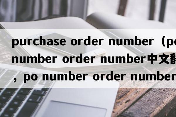 purchase order number（po number order number中文翻譯，po number order number是什么意思，po number order number發(fā)