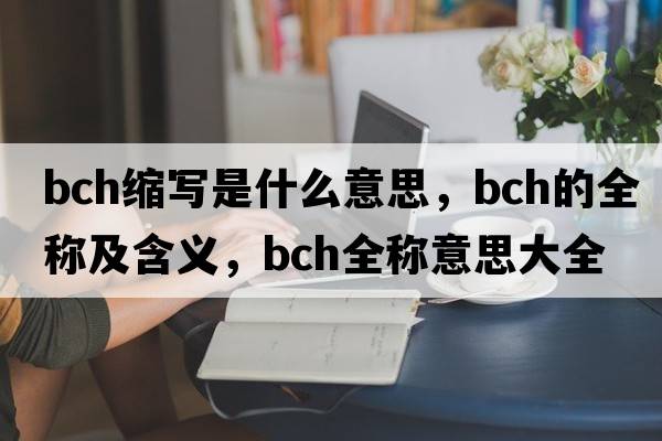bch縮寫(xiě)是什么意思，bch的全稱(chēng)及含義，bch全稱(chēng)意思大全