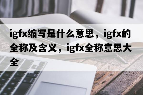 igfx縮寫(xiě)是什么意思，igfx的全稱(chēng)及含義，igfx全稱(chēng)意思大全