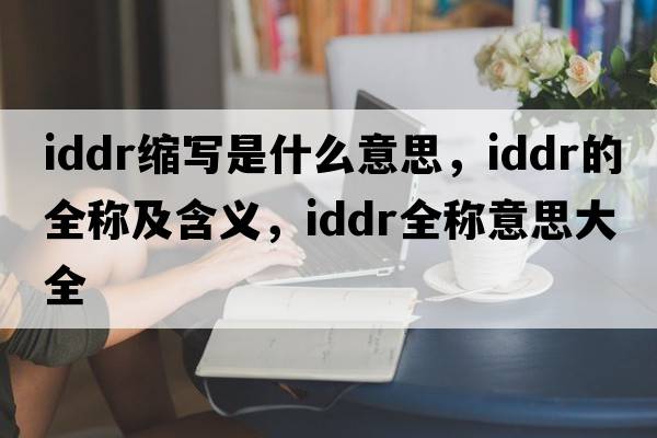iddr縮寫(xiě)是什么意思，iddr的全稱(chēng)及含義，iddr全稱(chēng)意思大全