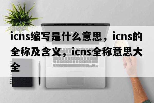 icns縮寫(xiě)是什么意思，icns的全稱(chēng)及含義，icns全稱(chēng)意思大全